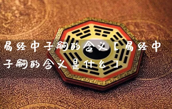 易经中子嗣的含义【易经中子嗣的含义是什么】_https://www.dao-sheng-yuan.com_风水_第1张