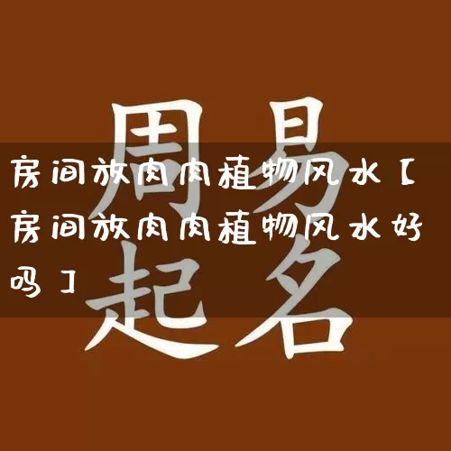 房间放肉肉植物风水【房间放肉肉植物风水好吗】_https://www.dao-sheng-yuan.com_风水_第1张