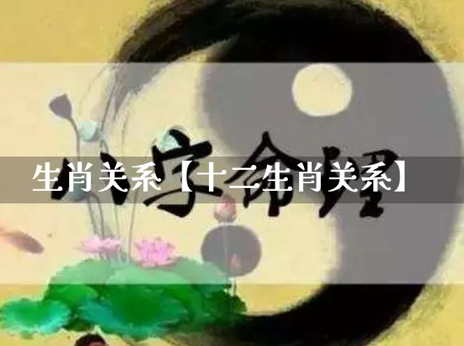 生肖关系【十二生肖关系】_https://www.dao-sheng-yuan.com_算命_第1张