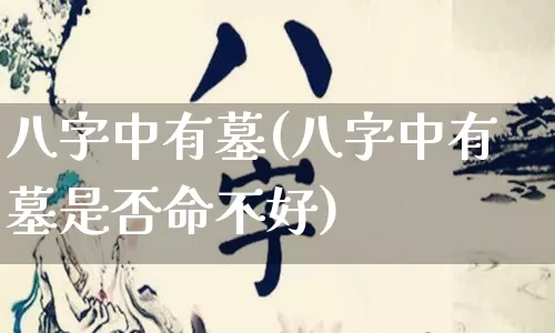 八字中有墓(八字中有墓是否命不好)_https://www.dao-sheng-yuan.com_八字_第1张