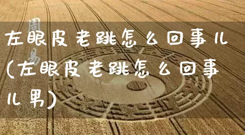 左眼皮老跳怎么回事儿(左眼皮老跳怎么回事儿男)_https://www.dao-sheng-yuan.com_五行_第1张