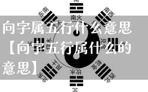 向字属五行什么意思【向字五行属什么的意思】_https://www.dao-sheng-yuan.com_风水_第1张