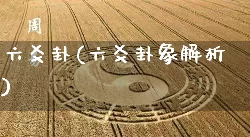 六爻卦(六爻卦象解析)_https://www.dao-sheng-yuan.com_算命_第1张