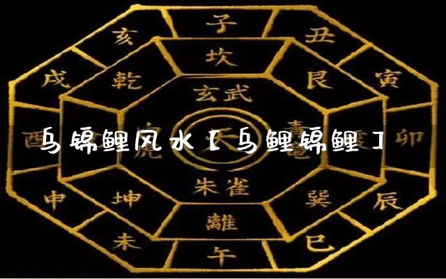 乌锦鲤风水【乌鲤锦鲤】_https://www.dao-sheng-yuan.com_风水_第1张