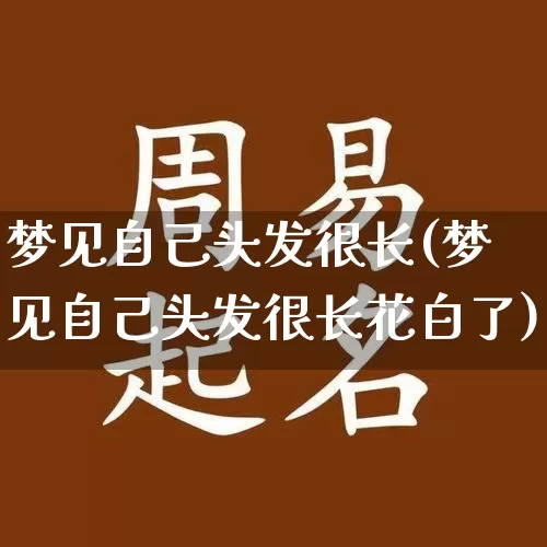 梦见自己头发很长(梦见自己头发很长花白了)_https://www.dao-sheng-yuan.com_风水_第1张