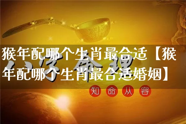 猴年配哪个生肖最合适【猴年配哪个生肖最合适婚姻】_https://www.dao-sheng-yuan.com_道源国学_第1张