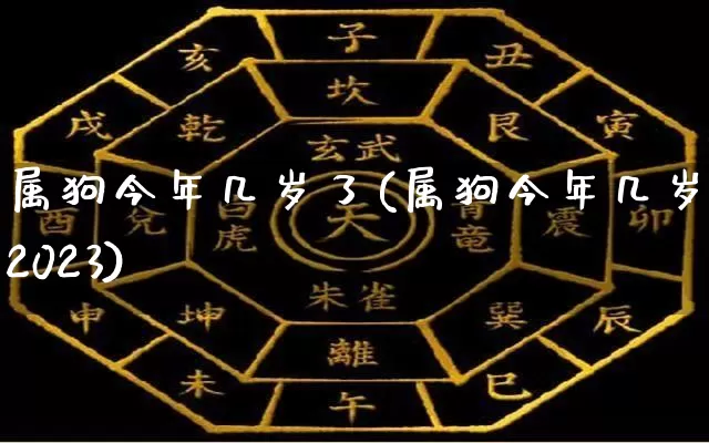 属狗今年几岁了(属狗今年几岁了2023)_https://www.dao-sheng-yuan.com_生肖属相_第1张