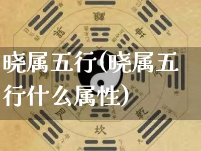 晓属五行(晓属五行什么属性)_https://www.dao-sheng-yuan.com_五行_第1张