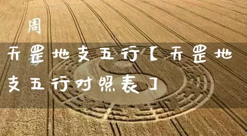 天罡地支五行【天罡地支五行对照表】_https://www.dao-sheng-yuan.com_五行_第1张