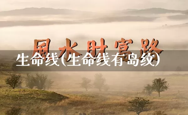 生命线(生命线有岛纹)_https://www.dao-sheng-yuan.com_易经_第1张