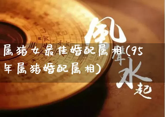 属猪女最佳婚配属相(95年属猪婚配属相)_https://www.dao-sheng-yuan.com_易经_第1张