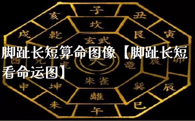 脚趾长短算命图像【脚趾长短看命运图】_https://www.dao-sheng-yuan.com_易经_第1张