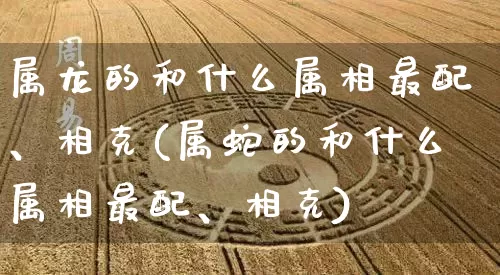 属龙的和什么属相最配、相克(属蛇的和什么属相最配、相克)_https://www.dao-sheng-yuan.com_周公解梦_第1张