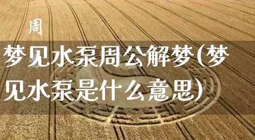 梦见水泵周公解梦(梦见水泵是什么意思)_https://www.dao-sheng-yuan.com_周公解梦_第1张