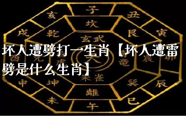 坏人遭劈打一生肖【坏人遭雷劈是什么生肖】_https://www.dao-sheng-yuan.com_道源国学_第1张