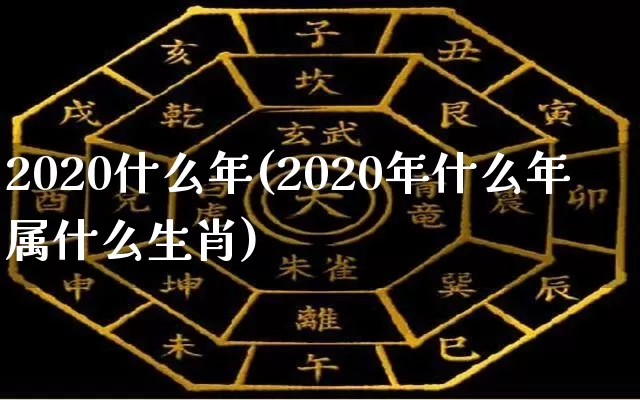 2020什么年(2020年什么年属什么生肖)_https://www.dao-sheng-yuan.com_道源国学_第1张