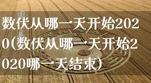 数伏从哪一天开始2020(数伏从哪一天开始2020哪一天结束)_https://www.dao-sheng-yuan.com_易经_第1张