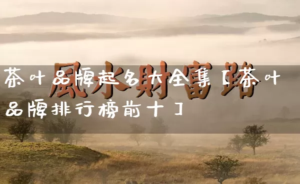茶叶品牌起名大全集【茶叶品牌排行榜前十】_https://www.dao-sheng-yuan.com_十二星座_第1张
