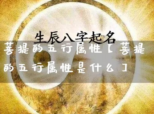 菩提的五行属性【菩提的五行属性是什么】_五行_第1张_道圣缘 菩提的五行属性【菩提的五行属性是什么】_https://www.dao-sheng-yuan.com_五行_第1张