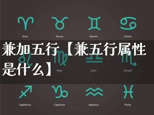 兼加五行【兼五行属性是什么】_https://www.dao-sheng-yuan.com_五行_第1张