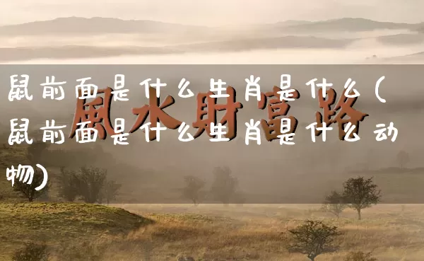 鼠前面是什么生肖是什么(鼠前面是什么生肖是什么动物)_https://www.dao-sheng-yuan.com_生肖属相_第1张