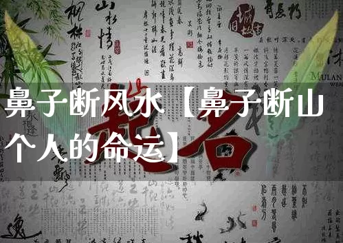 鼻子断风水【鼻子断山个人的命运】_https://www.dao-sheng-yuan.com_风水_第1张