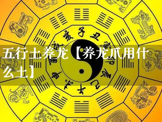 五行土养龙【养龙爪用什么土】_https://www.dao-sheng-yuan.com_十二星座_第1张