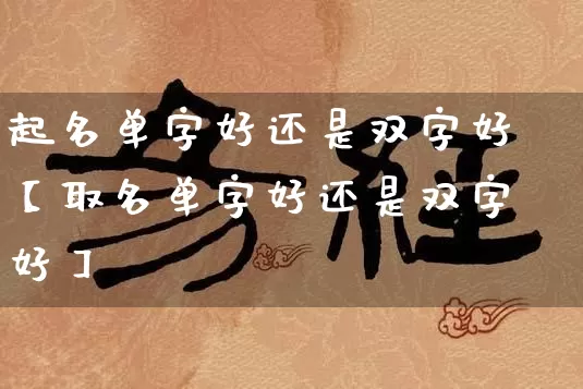 起名单字好还是双字好【取名单字好还是双字好】_https://www.dao-sheng-yuan.com_易经_第1张