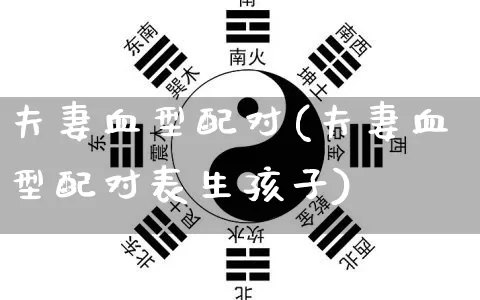 夫妻血型配对(夫妻血型配对表生孩子)_https://www.dao-sheng-yuan.com_起名_第1张