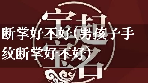 断掌好不好(男孩子手纹断掌好不好)_https://www.dao-sheng-yuan.com_五行_第1张