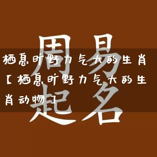 栖息旷野力气大的生肖【栖息旷野力气大的生肖动物】_https://www.dao-sheng-yuan.com_易经_第1张