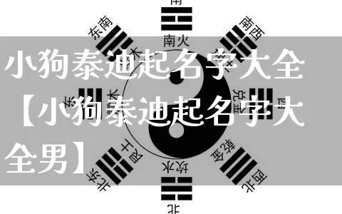 小狗泰迪起名字大全【小狗泰迪起名字大全男】_https://www.dao-sheng-yuan.com_道源国学_第1张