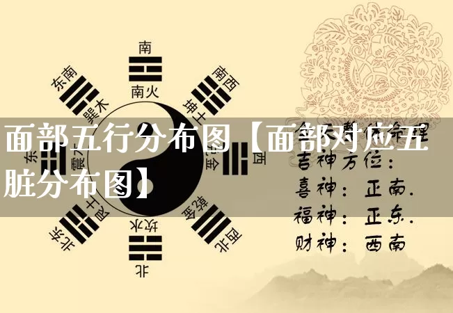 面部五行分布图【面部对应五脏分布图】_https://www.dao-sheng-yuan.com_周公解梦_第1张
