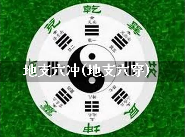 地支六冲(地支六穿)_https://www.dao-sheng-yuan.com_道源国学_第1张