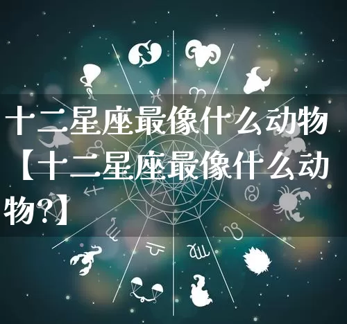 十二星座最像什么动物【十二星座最像什么动物?】_https://www.dao-sheng-yuan.com_十二星座_第1张