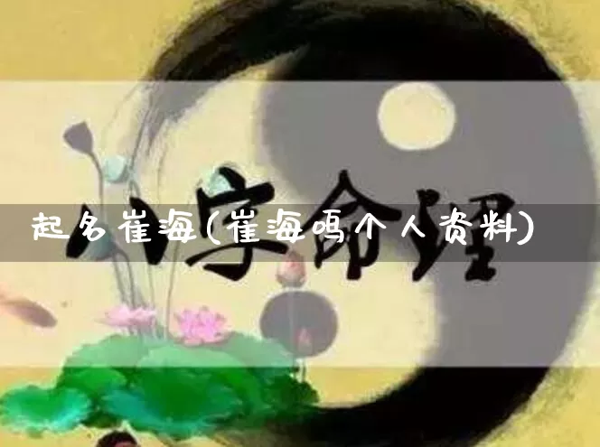 起名崔海(崔海鸣个人资料)_https://www.dao-sheng-yuan.com_起名_第1张
