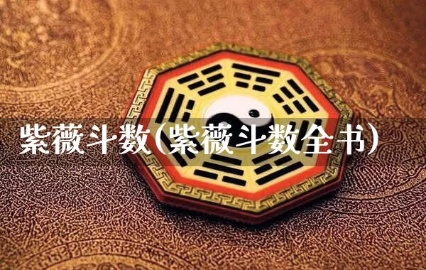 紫薇斗数(紫薇斗数全书)_https://www.dao-sheng-yuan.com_五行_第1张