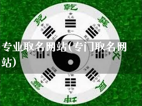 专业取名网站(专门取名网站)_https://www.dao-sheng-yuan.com_生肖属相_第1张