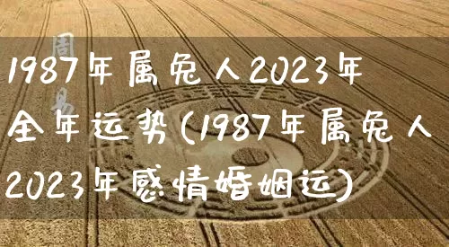 1987年属兔人2023年全年运势(1987年属兔人2023年感情婚姻运)_https://www.dao-sheng-yuan.com_算命_第1张