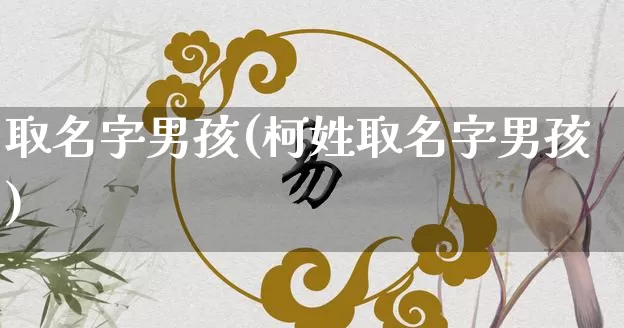 取名字男孩(柯姓取名字男孩)_https://www.dao-sheng-yuan.com_生肖属相_第1张