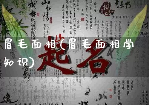 眉毛面相(眉毛面相学知识)_https://www.dao-sheng-yuan.com_五行_第1张