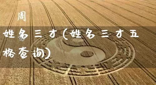 姓名三才(姓名三才五格查询)_https://www.dao-sheng-yuan.com_生肖属相_第1张