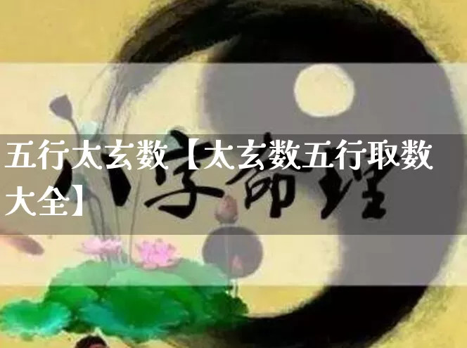 五行太玄数【太玄数五行取数大全】_https://www.dao-sheng-yuan.com_生肖属相_第1张