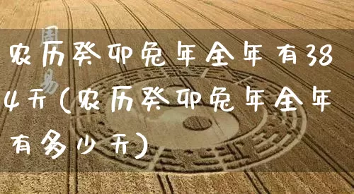 农历癸卯兔年全年有384天(农历癸卯兔年全年有多少天)_https://www.dao-sheng-yuan.com_周公解梦_第1张