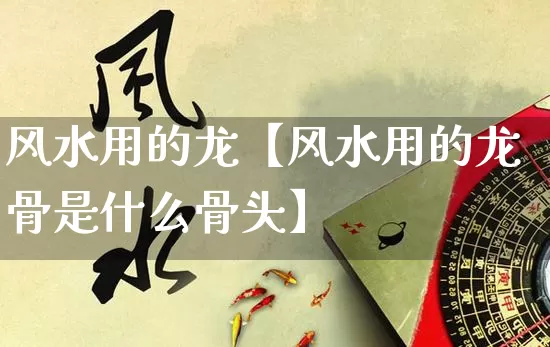 风水用的龙【风水用的龙骨是什么骨头】_https://www.dao-sheng-yuan.com_生肖属相_第1张