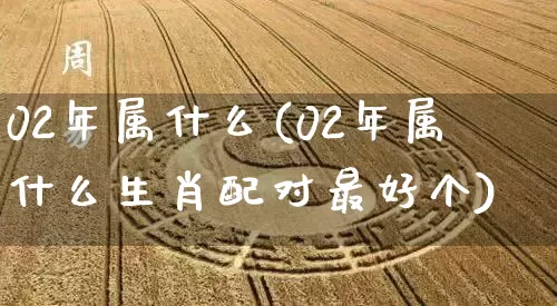 02年属什么(02年属什么生肖配对最好个)_https://www.dao-sheng-yuan.com_算命_第1张