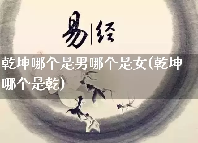 乾坤哪个是男哪个是女(乾坤哪个是乾)_https://www.dao-sheng-yuan.com_风水_第1张
