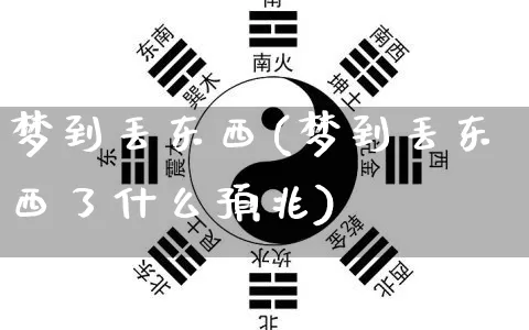 梦到丢东西(梦到丢东西了什么预兆)_https://www.dao-sheng-yuan.com_算命_第1张