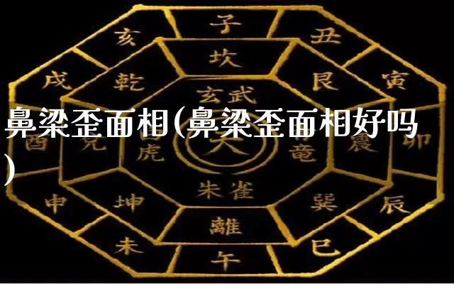 鼻梁歪面相(鼻梁歪面相好吗)_https://www.dao-sheng-yuan.com_易经_第1张