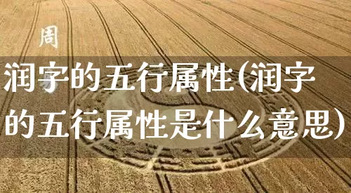 润字的五行属性(润字的五行属性是什么意思)_https://www.dao-sheng-yuan.com_五行_第1张